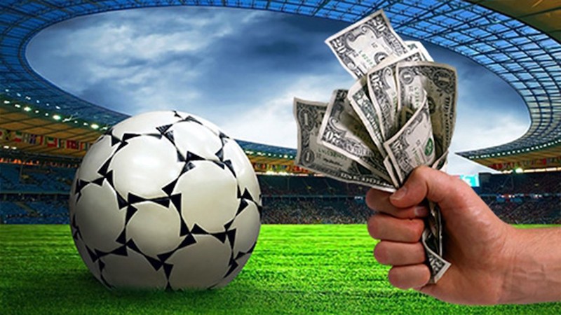 Everything You Need to Know About spurbets 10